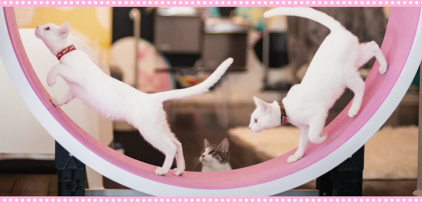 Welcome to Our Store