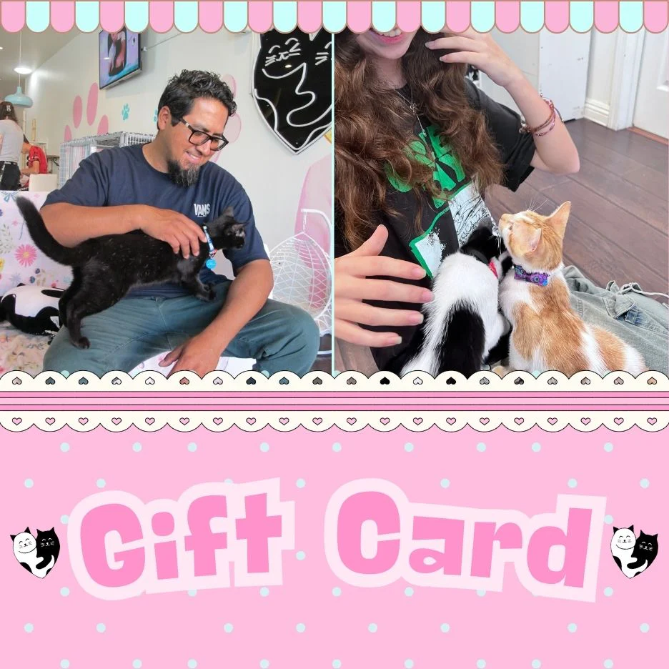 Recommended products (Seguno)